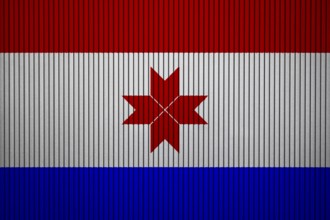 Mordovia Flag painted on the cracked grunge concrete wall
