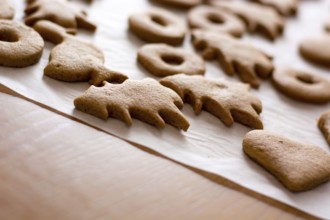 Baked easter gingerbread cookies on the white plate Closeup shot with selective focus