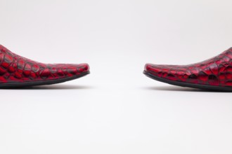 Detail of men's red shoes on white background