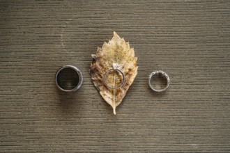 Wedding rings and bride's engagement ring on gray texture with yellow leaf of wood.