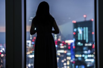 Night view and female silhouette. Shooting Location: Tokyo metropolitan area