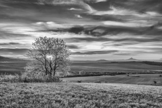 On the Grass Hillsides in Central Bohemian Uplands, Czech Republic.Black and White Photography