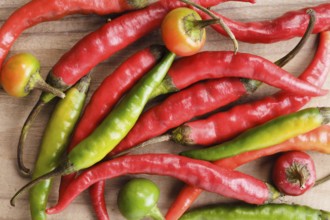 Red hot chilli pepper on milled paprika