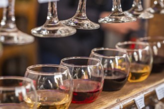 Glasses with a different wine for tasting