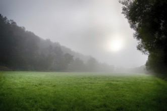 Morning atmosphere with fog