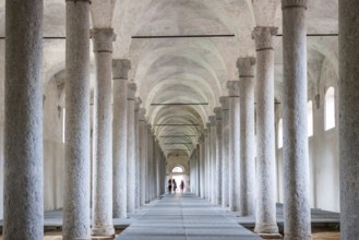 Renovation of ducal stables. Vigevano, Lombardia. Italy