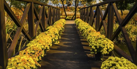 Wooden footbridge over a pond with pots of yellow daisies lining each side of the walkway, South