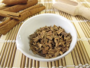 Cinnamon bark, Cinnamomi cortex