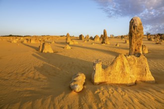 An image of the beautiful Pinnacles Desert in western Australia