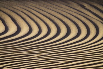 Background texture of sand dunes in Sahara desert