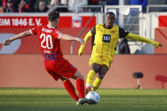 Germany: Soccer 1st Bundesliga, Matchday 20 - 1. FC Heidenheim vs. Borussia Dortmund - Voith-Arena