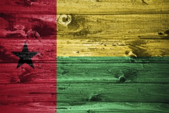 Guinea Bissau flag on wooden planks background wood flag