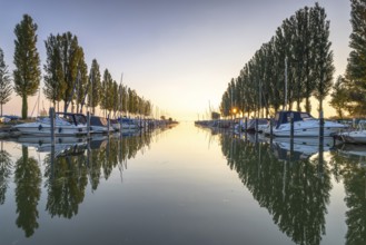 Boats are moored in a harbour, the reflection in the water and the trees create a peaceful morning