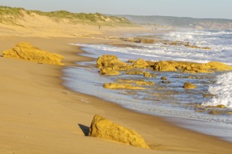 St Andrews Beach in autumn sunshine at low tide, Rye, Victoria, Australia