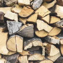 Firewood background. Stacked firewood in preparation for winter. Dry wood