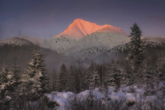 Verschneiter und beleuchteter Gipfel des Krivan bei Podbanske im Winter bei Sonnenuntergang