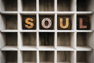 The word SOUL written in vintage ink stained wooden letterpress type in a partitioned printer's