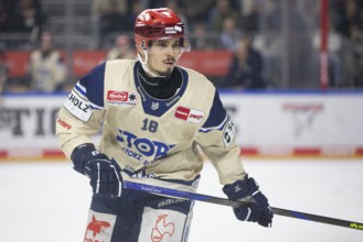 LanxessArena, Cologne, North Rhine-Westphalia, Daniel Neumann (Schwenninger Wild Wings, #18), PENNY