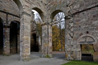 Paulinzella. Monastery ruins. Main construction period 1105-24 since 16-17th century Ruin left