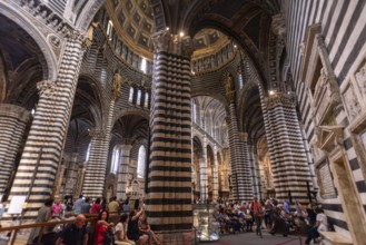 SIENA, ITALY, SEPTEMBER 23, 2023, Great medieval architecture of the Siena cathedral's nave, Italy