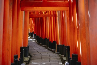 Kyoto, Japan - May 15 2019: Red Tori Gate at Fushimi Inari Shrine in Kyoto, Japan. One of the