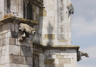 Choir from south-east, detail of gargoyle and coat of arms, St., Sankt, Saint