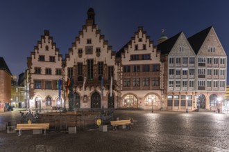 Half-timbered houses in a historic city centre, wheelhouse on the Römerberg taken in the morning