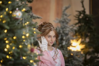 The winter exhibition Three Hazelnuts for Cinderella starts on 21 November. Moritzburg Castle is