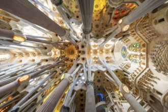 Barcelona, Spain, April 7, 2023: Interior of La Sagrada Familia cathedral, designed by Gaudi, it is