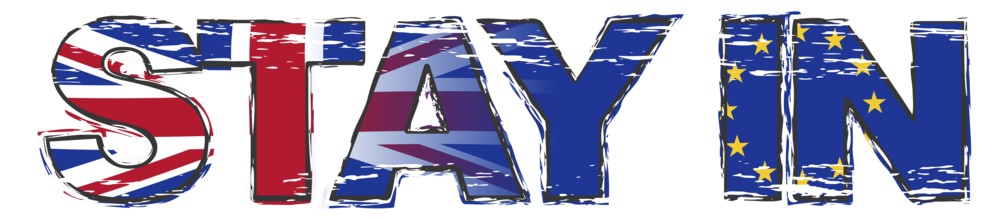 Text STAY IN with UK and EU flag under it, distressed grunge look