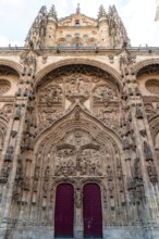 Main facade in plateresque style of the Cathedral of Salamanca. Castilla Leon, Spain