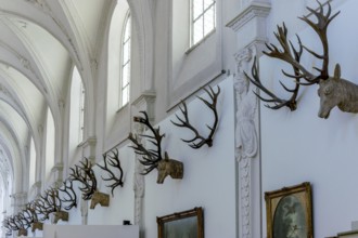 Hunting trophies on the wall in the German Hunting and Fishing Museum, Munich, Upper Bavaria,
