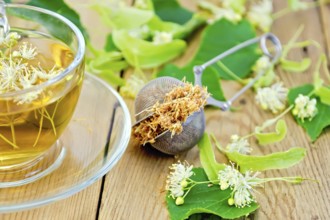 Metal sieve with dried flowers of linden, fresh linden flowers, tea in a glass cup on a wooden