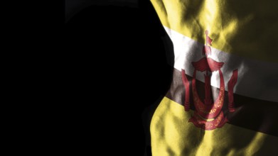 Brunei flag on abs muscles national sport workout, bodybuilding concept, black background