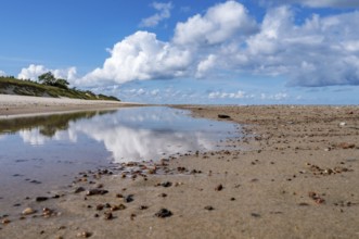 Beautiful sky. The sea coast. Reflection of clouds in the water. Deserted seashore