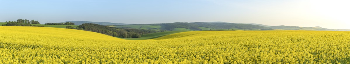 Panorama with the agricultural hills from Moravia, near the village Korycany in the Czech Republic