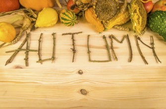 The word autumn written out of tree twigs on a wooden background, with the results of the harvest