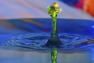 A drop of water in bright green creates a lively splashing movement on a blue water surface,