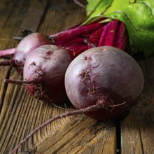 Botwina, Rustic Young Beetroot