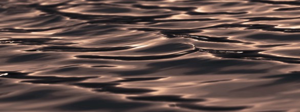 Sunset on the Water surface