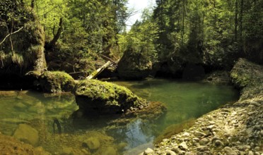The Upper Argen in the Eistobel near Maierhöfen in the Allgäu