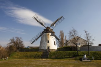 Windmill, Podersdorf am See, Burgenland, Austria