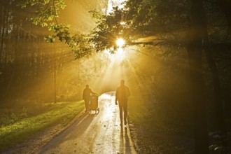 The sun's rays break through the fog. Early evening