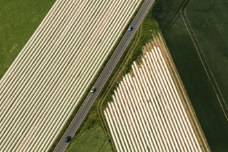 Spagel fields on the Lower Rhine