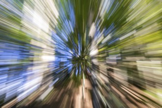 Autumn forest, zoom effect, Weitental near Bruck an der Mur, Styria, Austria