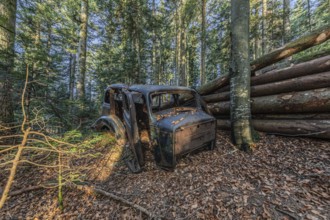 Wrecked car Hudson Terraplane K Tourer Sedan built in 1935 that has been sitting in a forest for