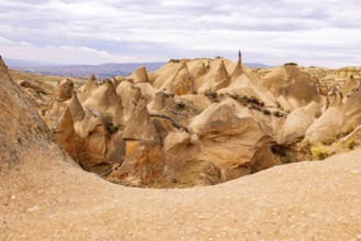 Rock Formation in the Devrent Valley in Cappadocia, Camel Valley, Turkey
