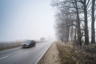 Car on a road in fog. Morning in fog