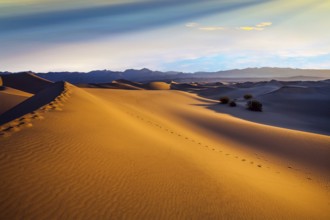 Mesquite Flat Sand Dunes - dunes in Death Valley. The morning. The sand lies in light waves. Human