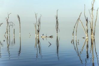 Sunrise on Lake Nakuru. Safari - tour to the famous reserve Lake Nakuru National Park, Kenya. The